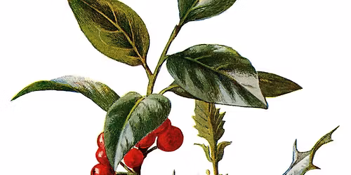 Grand Union Folk Club w\/ Alula Down, Quinie, Rosie Brownhill and Tomas Asimov