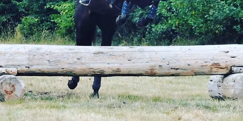 XC training - Ickworth Park