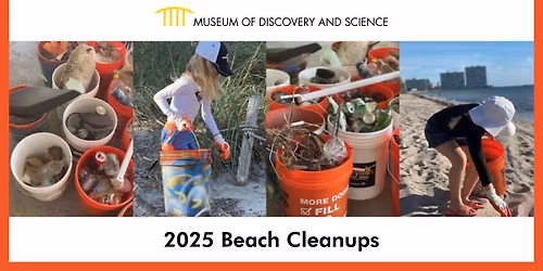 Beach Cleanup