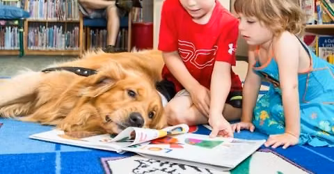 Library Tales for Tails 