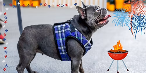 Pawsh Hour: Pawty in the USA at The Ritz-Carlton, Denver