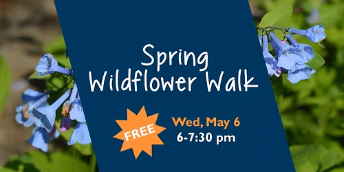 Spring Wildflower Walk