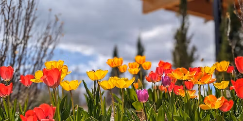 CSU Day at The Gardens