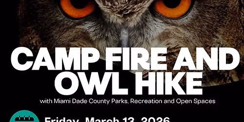 Campfire & Owl Walk