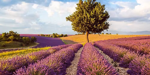 French Art Song Competition