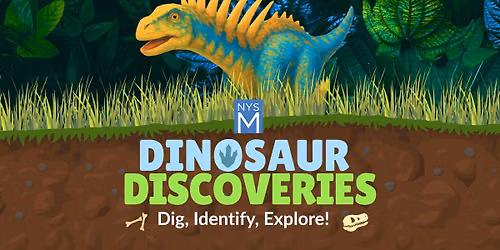 Dinosaur Discoveries: Dig, Identify, Explore!