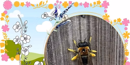Junior Junior Ranger: Let's BEE Friends!