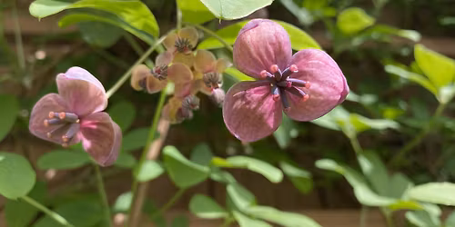 Kveldsomvisning: Naturen v\u00e5kner