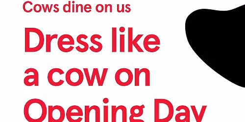 Grand Opening Moove-In Party!