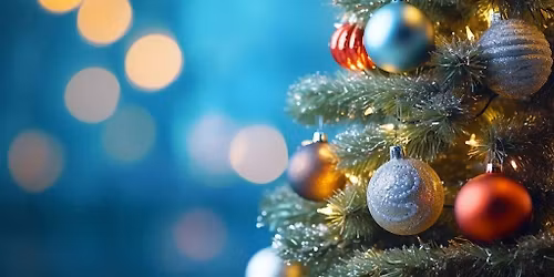 Family Magical Christmas Celebration