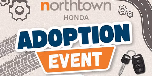 Northtown Honda Adoption Event \ud83e\udde1\ud83d\udc3e