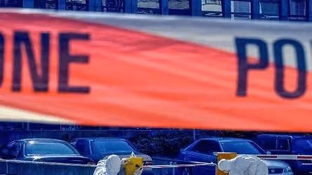 Serienkiller, Komplizen und Cold Cases