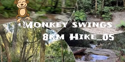 Monkey Swings 8km Hike&picnic