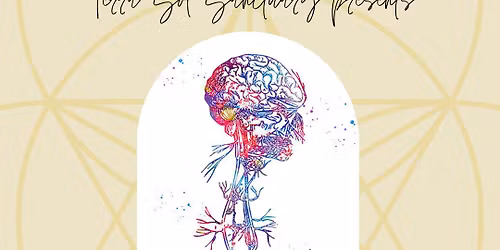 Understanding Your Nervous System
