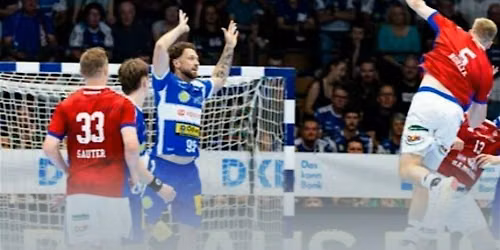 Business meets Handball Bundesliga