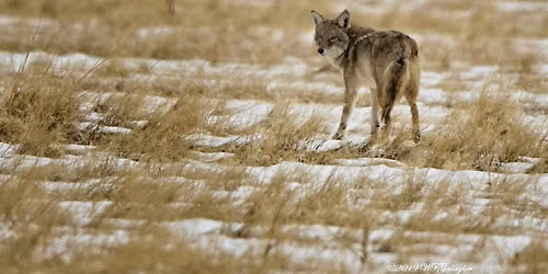 Winter Solstice Walk