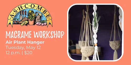 Macram\u00e9 Air Plant Hanger