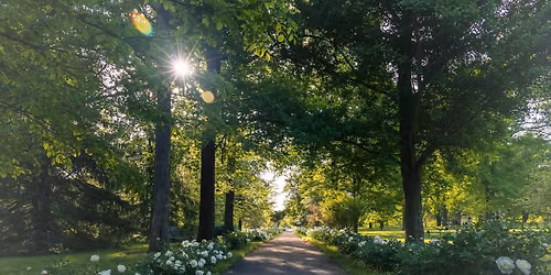 Nature & Forest Therapy