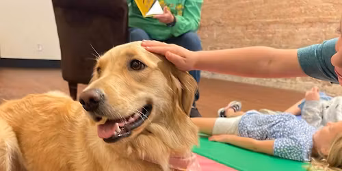 Children's Story Time With See See! 