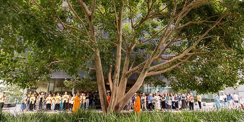 The Bodhi Tree Project: 20th Anniversary Celebrations | Free