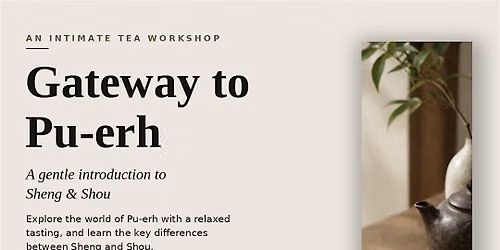 Introduction to Puerh Tea - An intimate introduction to Sheng & Shou