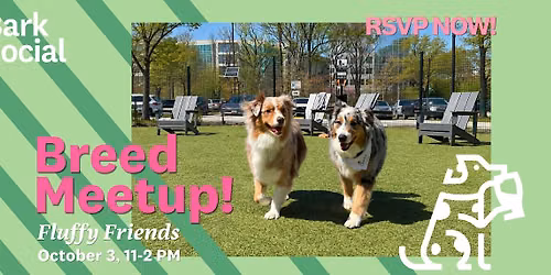 Fluffy Breeds Meetup