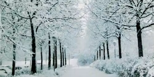 Tiffany Jewelers Customer Appreciation Day