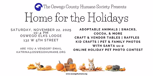 Home For The Holidays