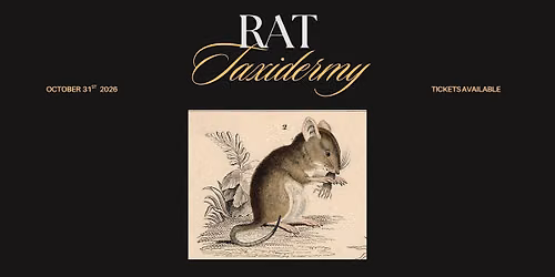 Rat Taxidermy Workshop