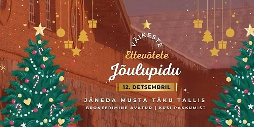 \u2728V\u00e4ikeste ettev\u00f5tete j\u00f5ulupidu\u2728