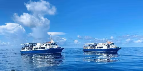 DIVE with AS2 PROFESSIONALS \/ CAPTAIN HORNBLOWER 