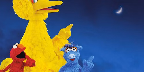 One World, One Sky: Big Bird's Adventure