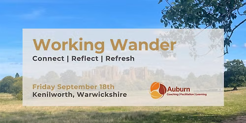 Working Wander