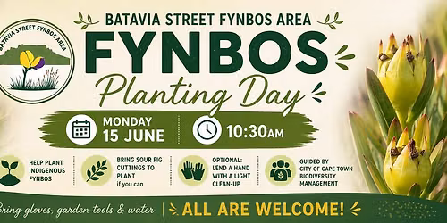 Batavia Street Fynbos Area | Planting Day \ud83c\udf3f