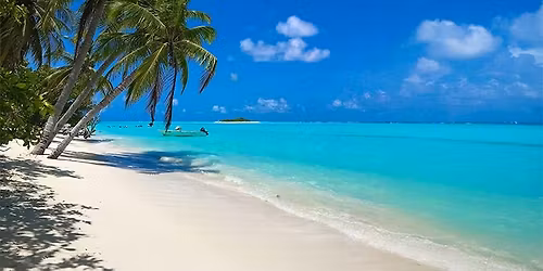 LOH Presents: Changes in Latitude, The Premier Jimmy Buffett Show