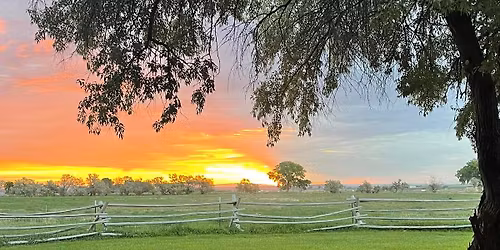 Healthy Holidays- Digestion and Health