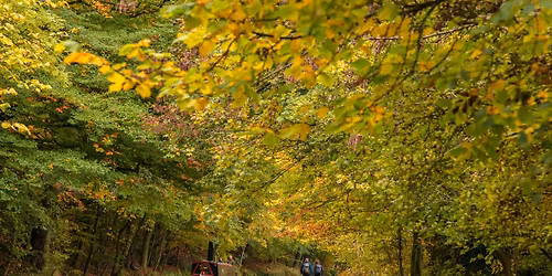 FREE Let's Walk - Goytre