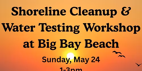Shoreline Cleanup and Water Testing Workshop at Big Bay