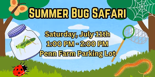 Summer Bug Safari