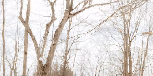 Matt & Shannon\u2019s Buck and Doe 