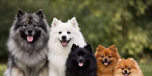 Sportovn\u00ed v\u00edkend pro \u0161pice