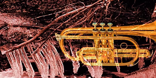 Julekonsert i S\u00f8rkedalen kirke