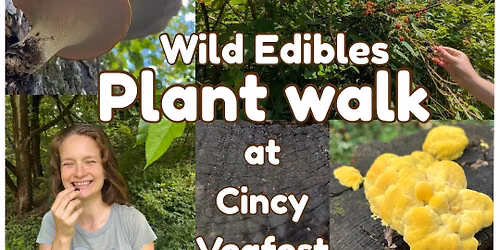 Wild Edibles - Cincy Vegfest - Plant Walk