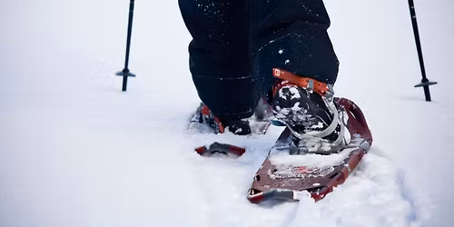 Self-guided Snowshoe Hike