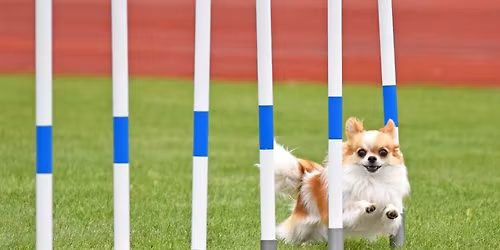 Januarparty i Dr\u00f8bak