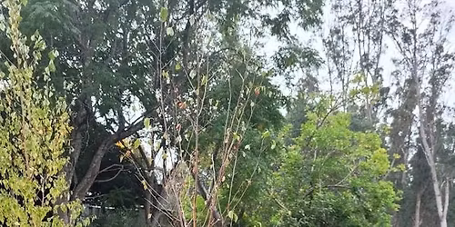 HADYN WARD @ NANNUP BREWING COMPANY