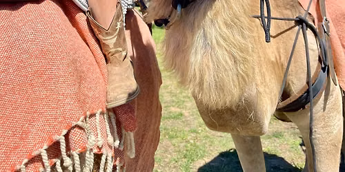 Camel Rides at  Mytleford Show \ud83d\udc2a\ud83d\udc2a\ud83d\udc2a\ud83d\udc2a
