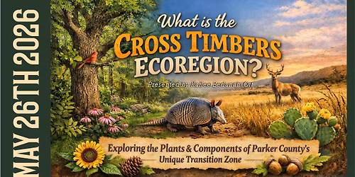 What is the Cross Timbers Eco Region?