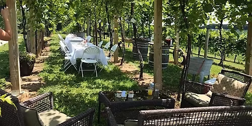An Evening of Local Flavors at the Vines