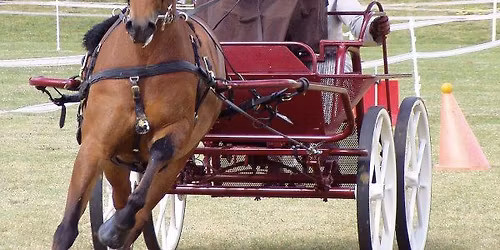 Oaklands Graded driven Dressage Qualifiers & Indoor-Outdoor Competition